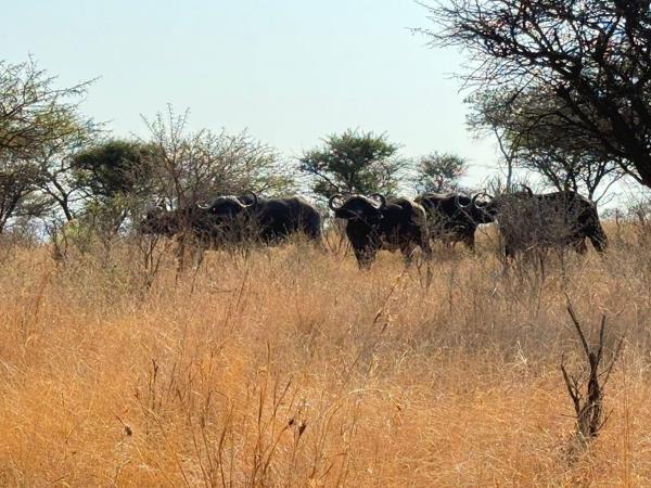 1 040 ha Farm