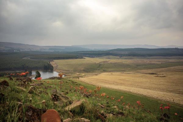 475 ha Farm