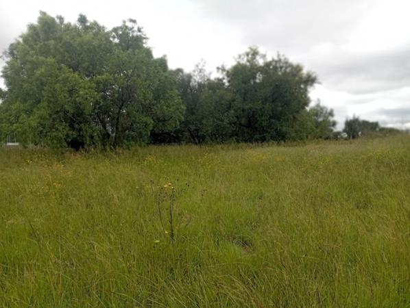750 m² Land