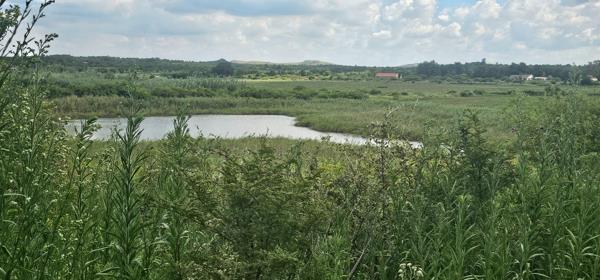25 ha Farm