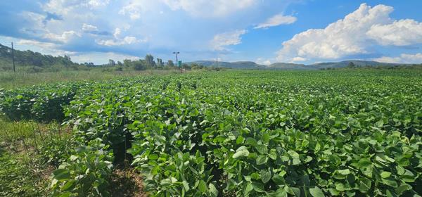 25 ha Farm