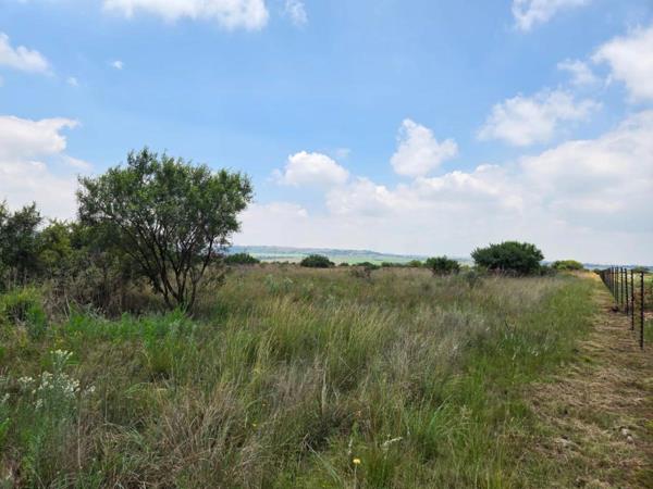 4.9 ha Land