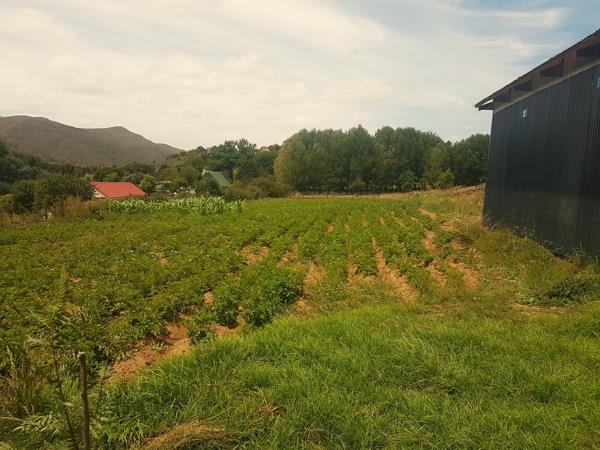 4 293 m² Smallholding