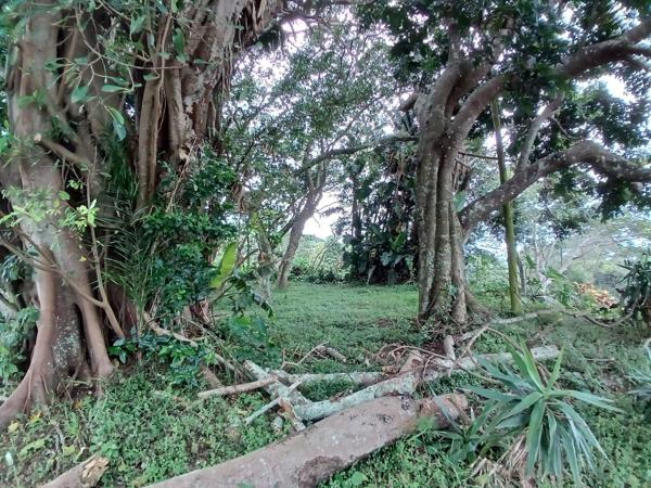 1 921 m² Land