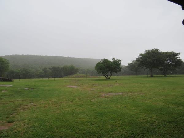 Game Farm