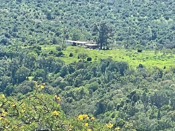 119 ha Farm