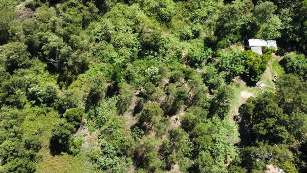 3 945 m² Land