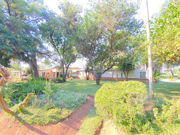 8 ha Commercial Farm