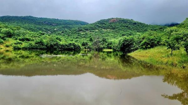 1 184 ha Commercial Farm