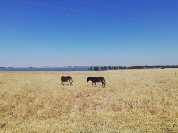 500 m² Land