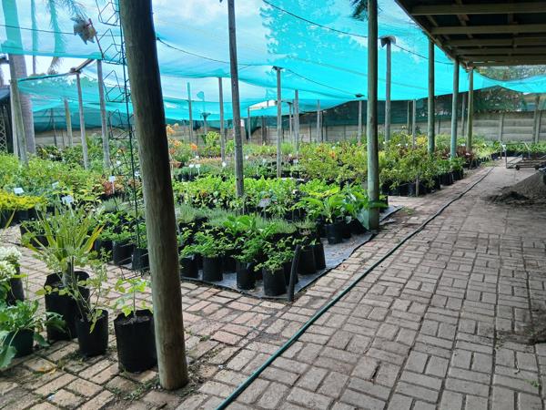 337  m² Commercial space