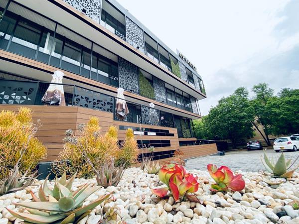 161 m² Office Space