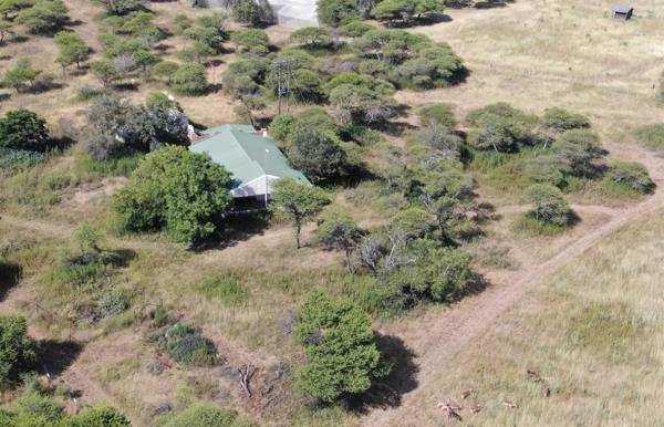 21.4 ha Farm