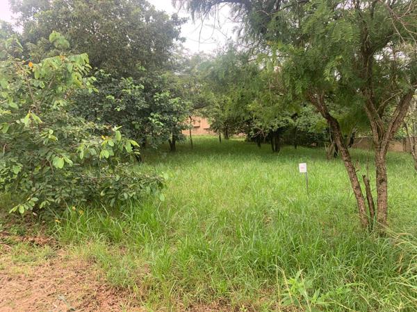 1 385 m² Land