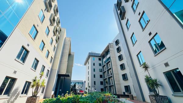 593 m² Office Space