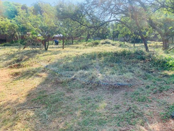 1 223 m² Land