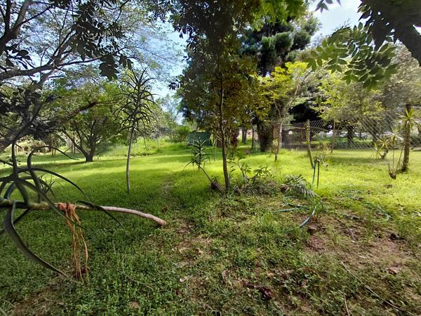 716 m² LandHazyview - View 4