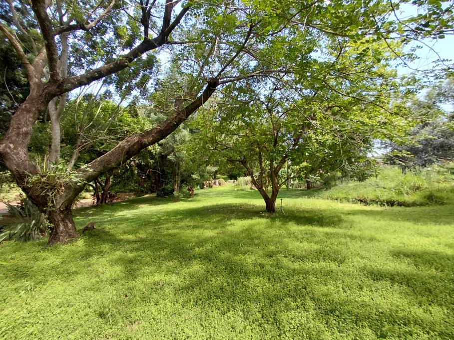 716 m² LandHazyview - View 2