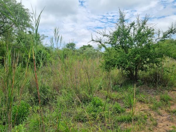 8 031 m² Land
