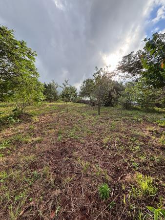 1 714 m² Land