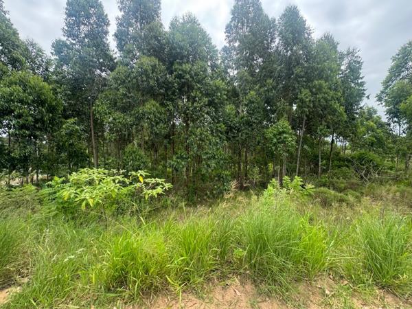 1 089 m² Land