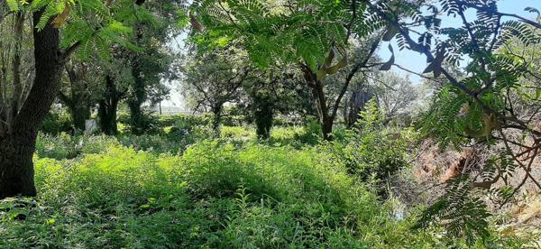 4 074 m² Land