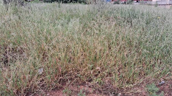 569 m² Land