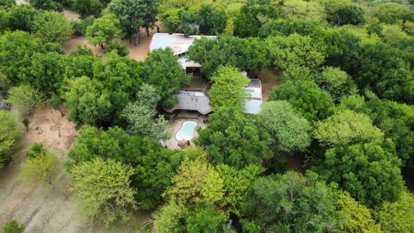 8.5 ha Smallholding