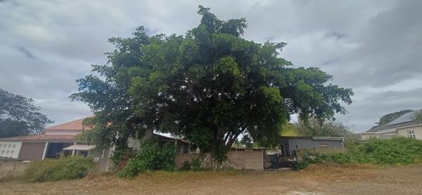 5 000 m² Land