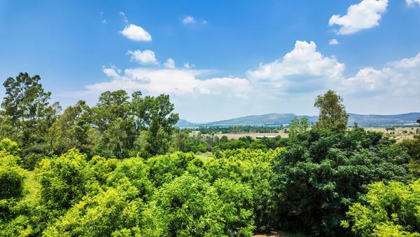 36.5 ha Farm with House