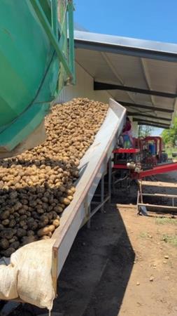 50 ha Farm