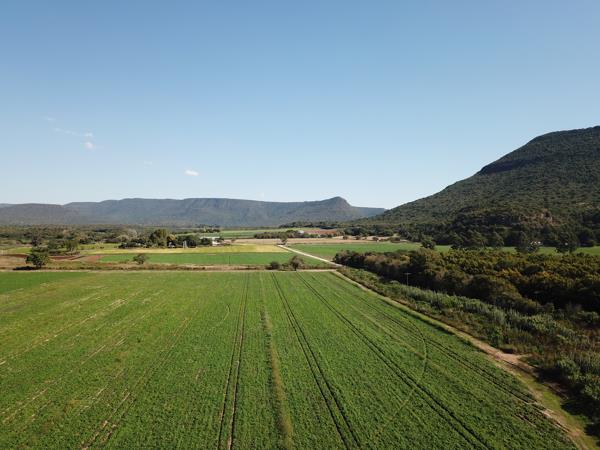 56 ha Farm