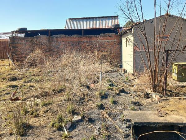 31 ha Commercial Farm