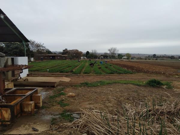 8 ha Farm with House