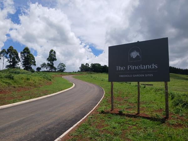 658 m² Land