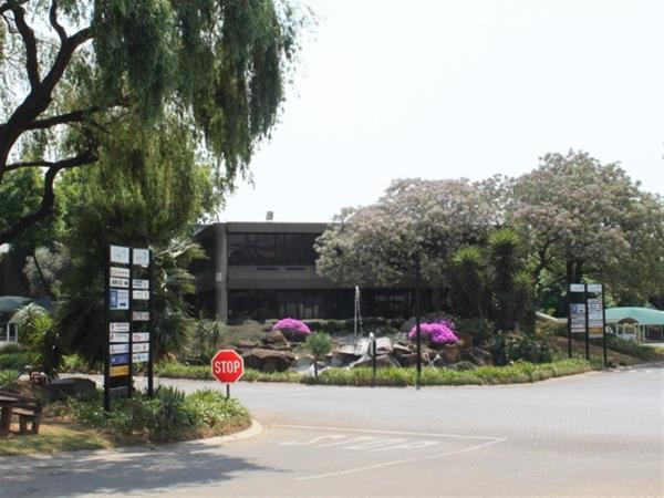 126  m² Office Space