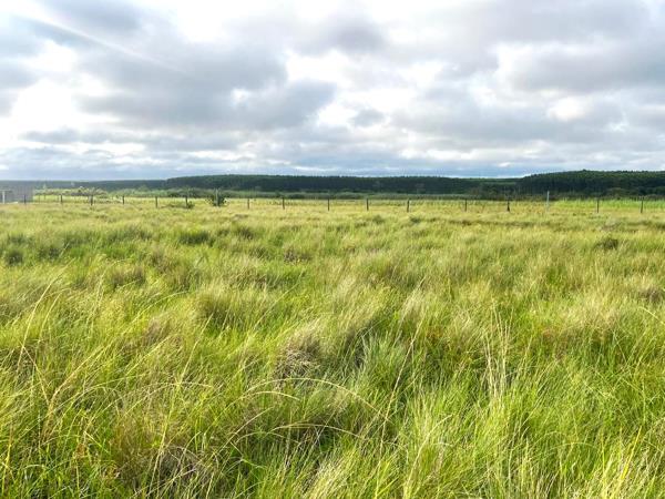 900 m² Land