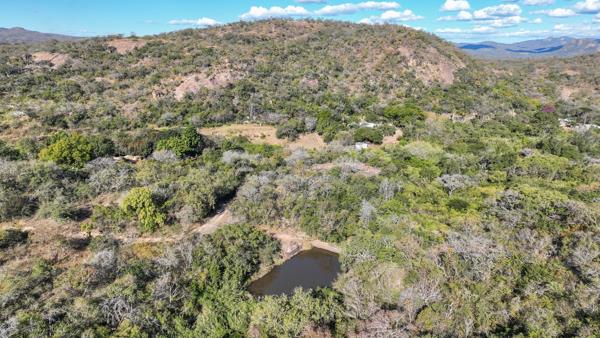 22.5 ha Smallholding