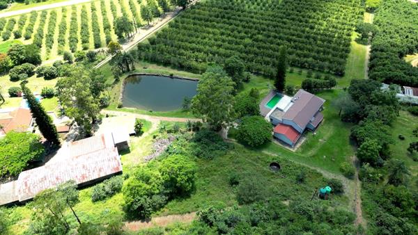 68 ha Agricultural Holding