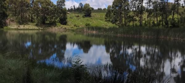 301 ha Farm