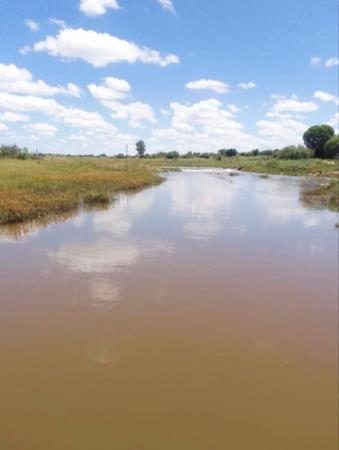 292 ha Commercial Farm