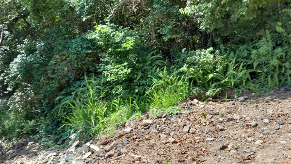 1 126 m² Land