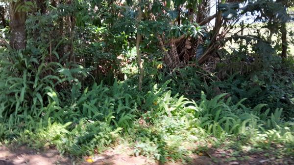 1 085 m² Land