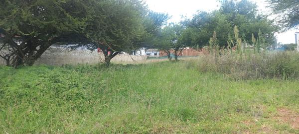 562 m² Land