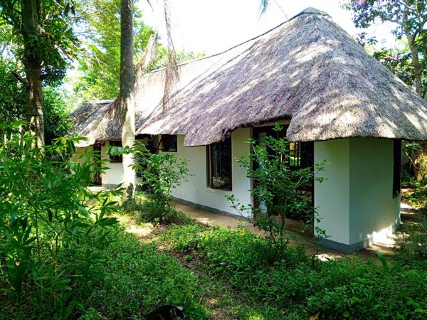 1 Bedroom House