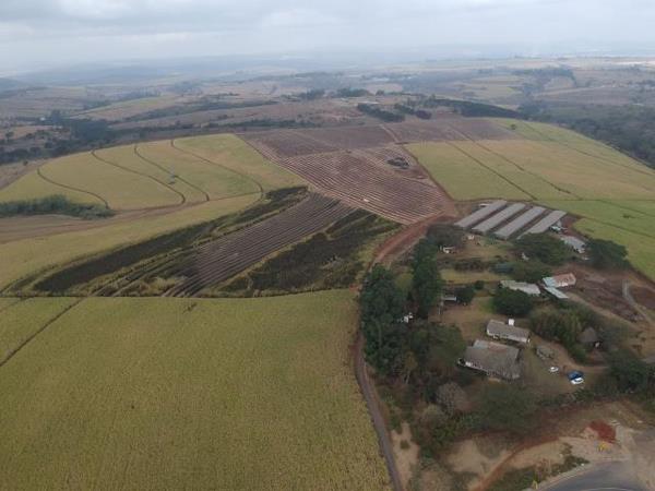 74 ha Commercial Farm