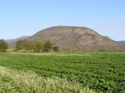 200 ha Farm