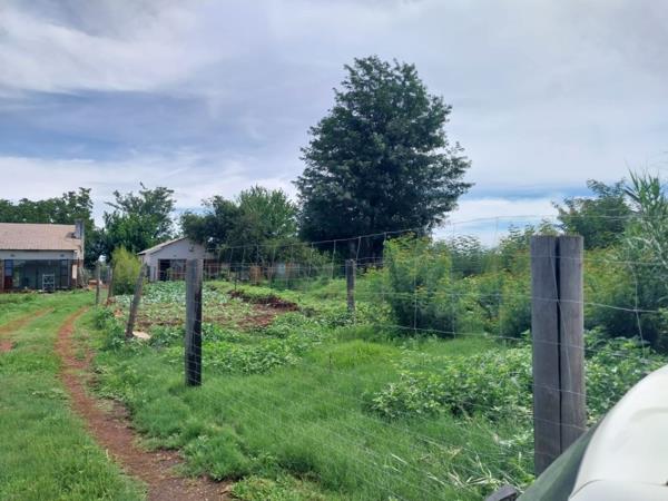 3.8 ha Farm