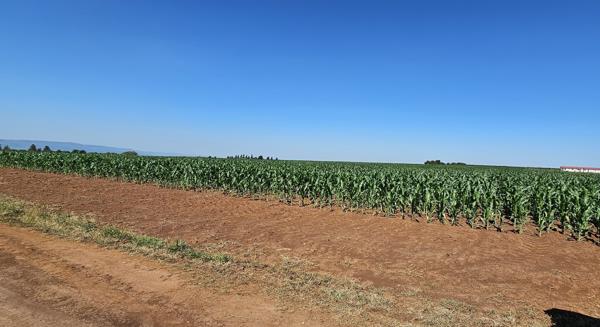 35 ha Farm