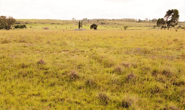 2 974 m² Land
